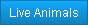 Live Animals