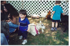 Petting Zoo image